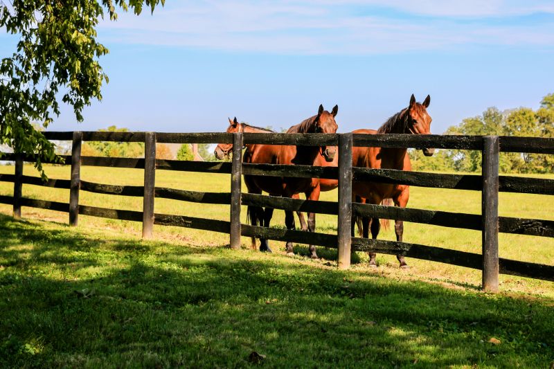 Ranch Fence Construction in Sacramento, CA
